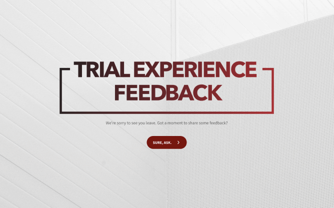 Trial Feedback Form Template