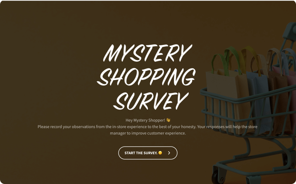  Mystery Shopping Survey Template 