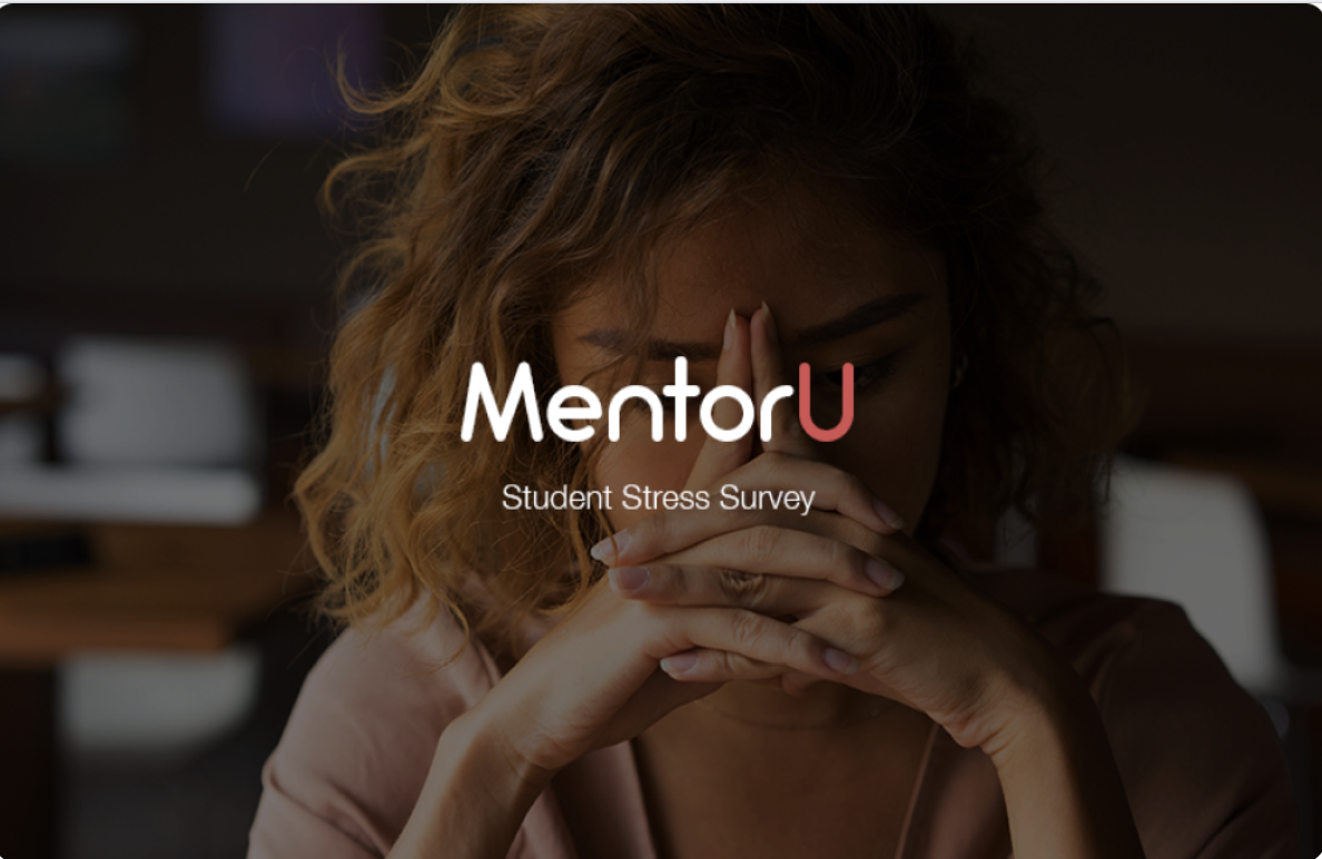  Student Stress Questionnaire Template 