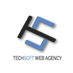 TechSoft Web Agencylogo