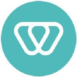 WiserBrandlogo