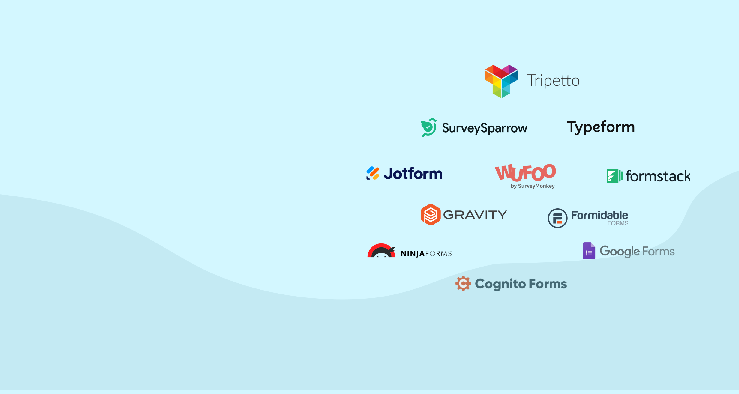 Top 10 Tripetto Alternatives for Powerful Form Building in 2024