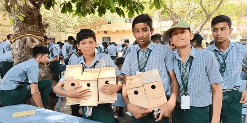 Flyin: A Sparrow Rehabilitation Effort Flyin: A Sparrow Rehabilitation Effort