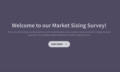 template-desktop-frame market-sizing-survey-template