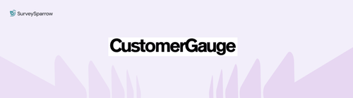 6 CustomerGauge Alternatives Actually Worth Your Money in 2025 6 CustomerGauge Alternatives Actually Worth Your Money in 2025