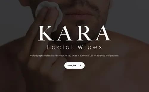 Consumer Behaviour Questionnaire Template Consumer Behaviour Questionnaire Template