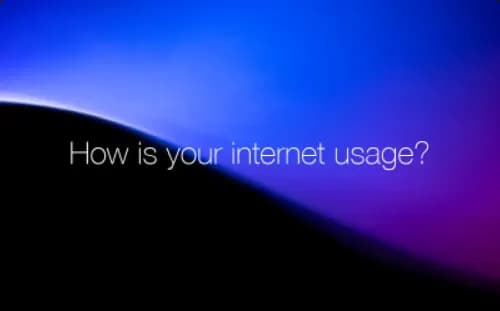 Internet Usage Survey Template Internet Usage Survey Template