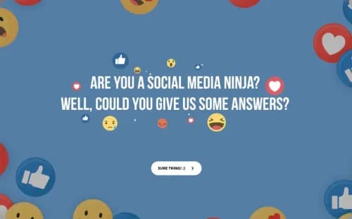 Social Media Questionnaire Template Social Media Questionnaire Template
