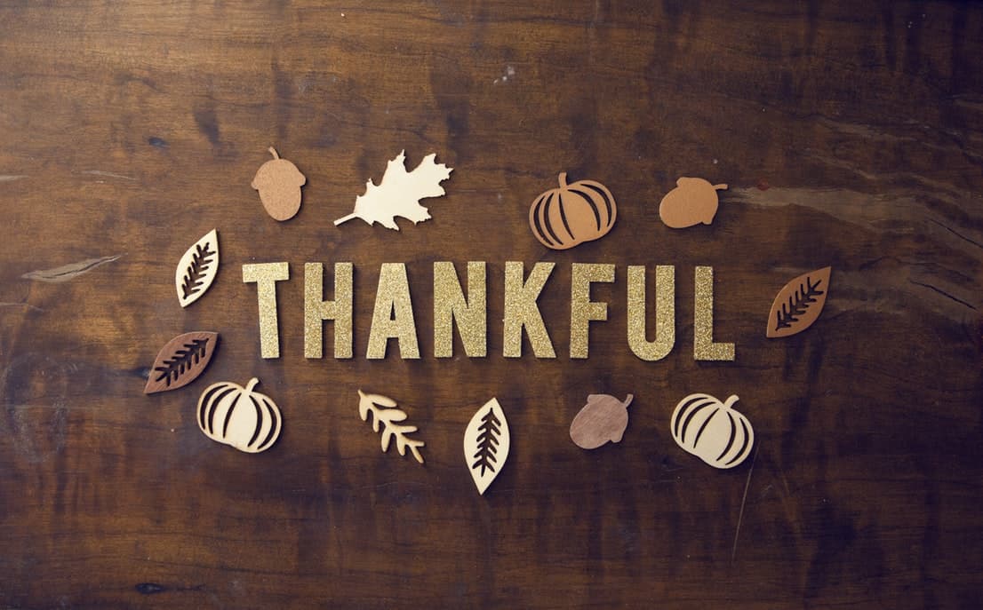 November brings in newest additions that we're thankful for! November brings in newest additions that we're thankful for!