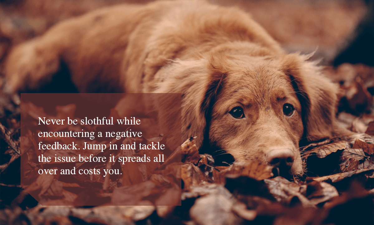 Negative Feedback Loop -Never be slothful while encountering a negative feedback. Jump in and tackle the issue before it spreads all over and costs you. 