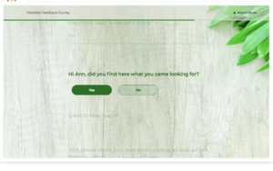 CSAT Surveys