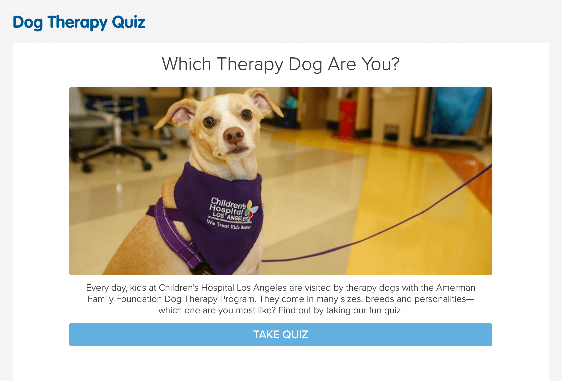 dog therapy quiz example