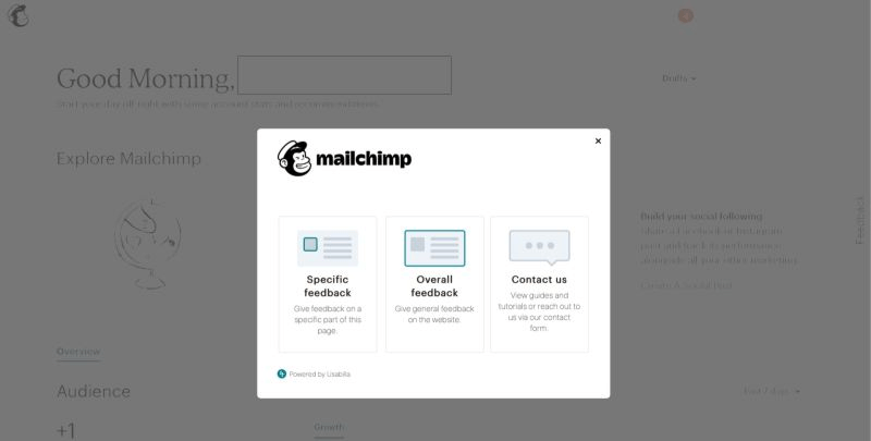 mailchimp-feedback-form-example-or-samples-of-feedback-forms