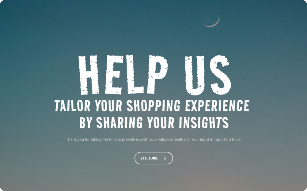 E-Commerce Survey Template