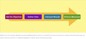 Voice of the customer program