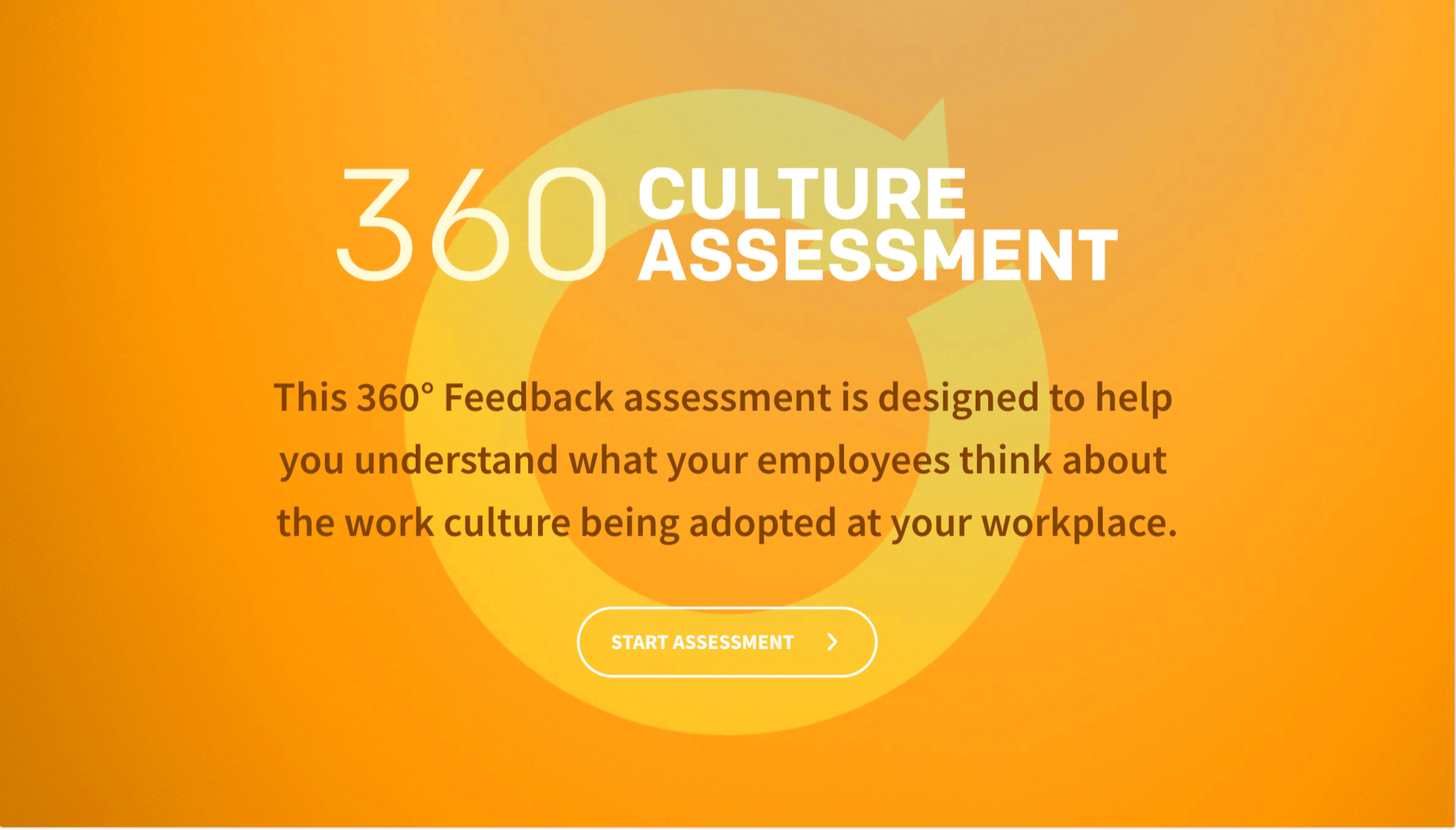 360 degree feedback format: Culture assessment