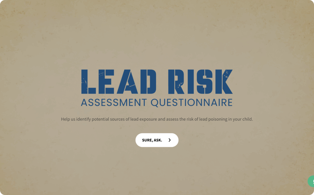 Lead Risk Assessment Questionnaire Template