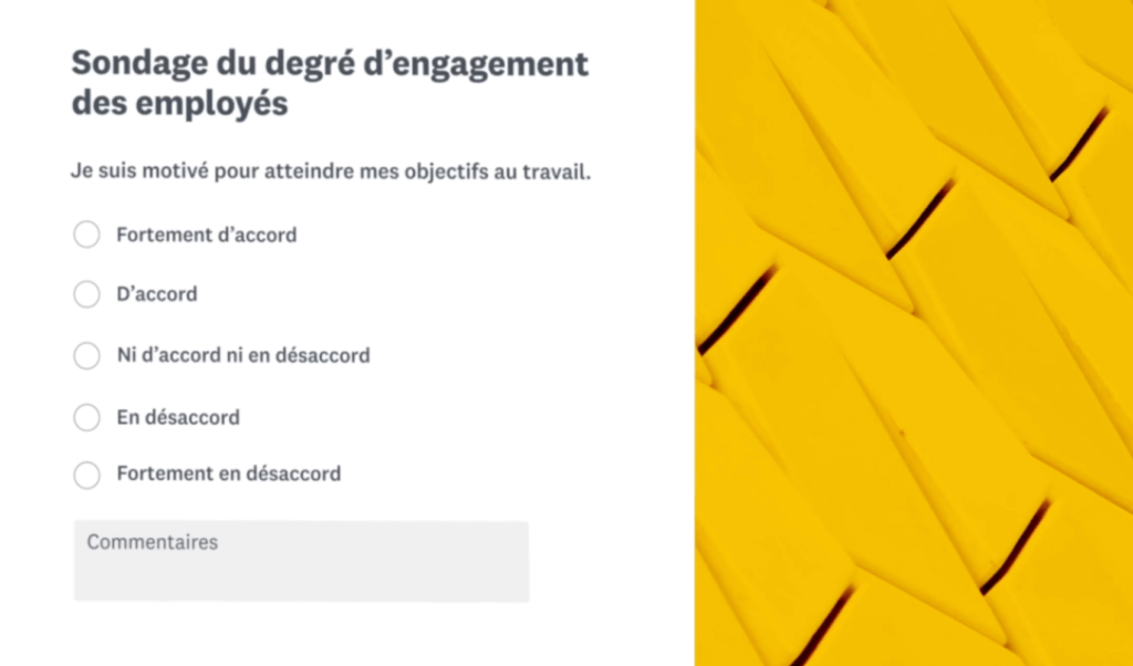 SurveySparrow vs SurveyMonkey: SurveyMonkey multilingual surveys