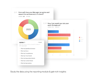 report savy dashboard of employee assesment tool